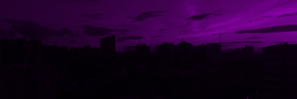 Sandra Alonso banner