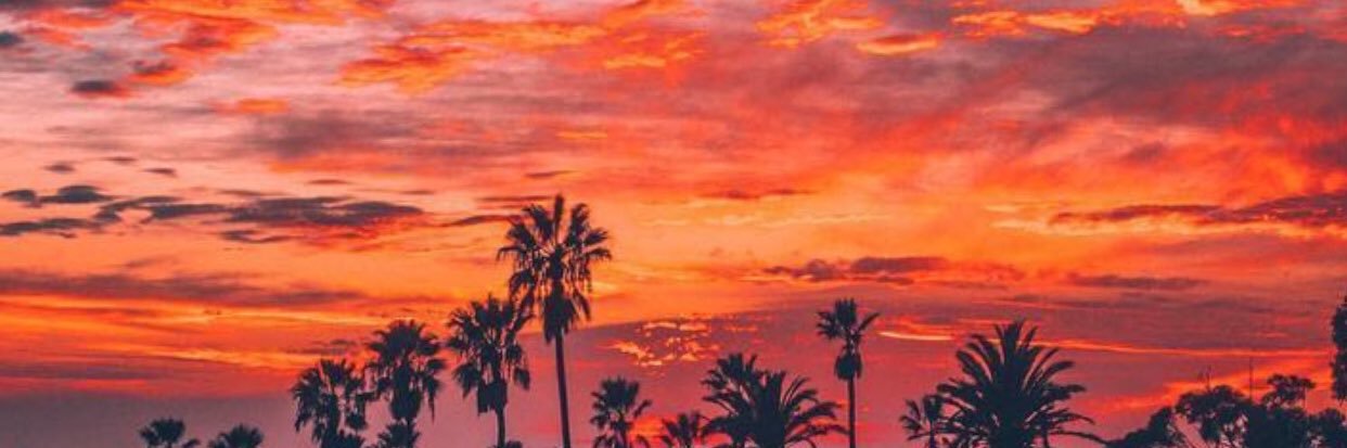 Leo_7 banner