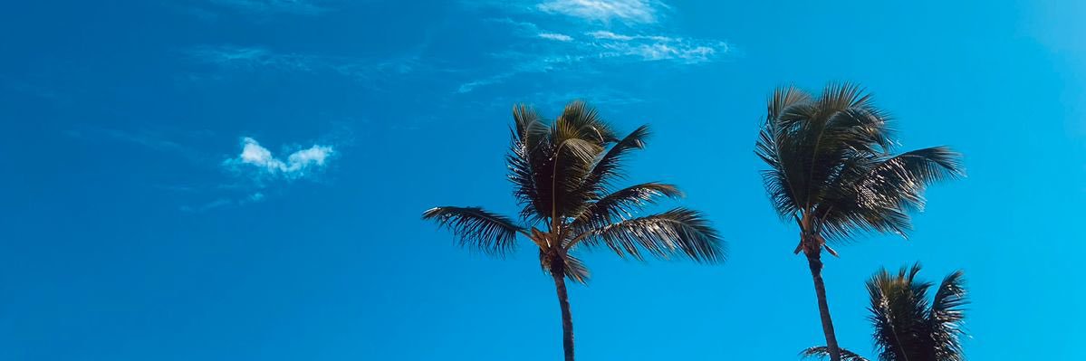 imfior's profile banner image