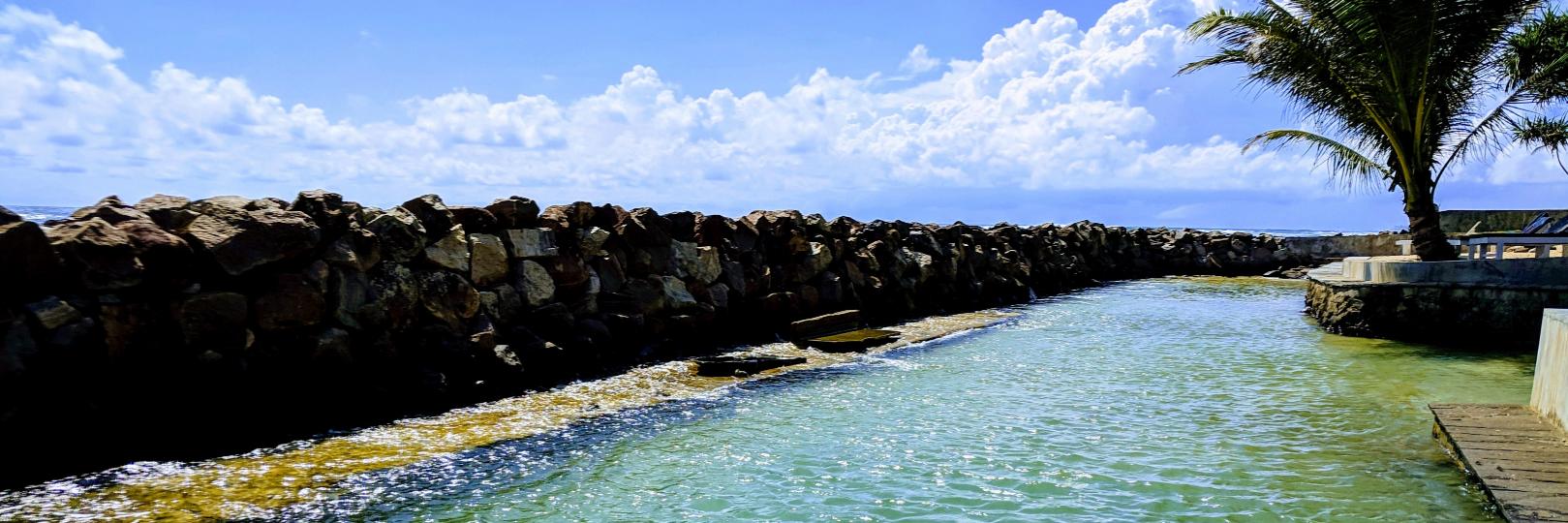 Saliya Ekanayake banner