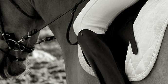 Equestriansx's profile banner image