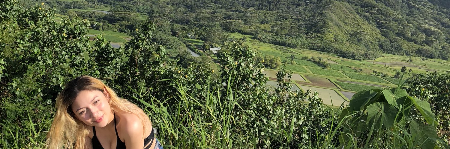 isabelrllanes's profile banner image