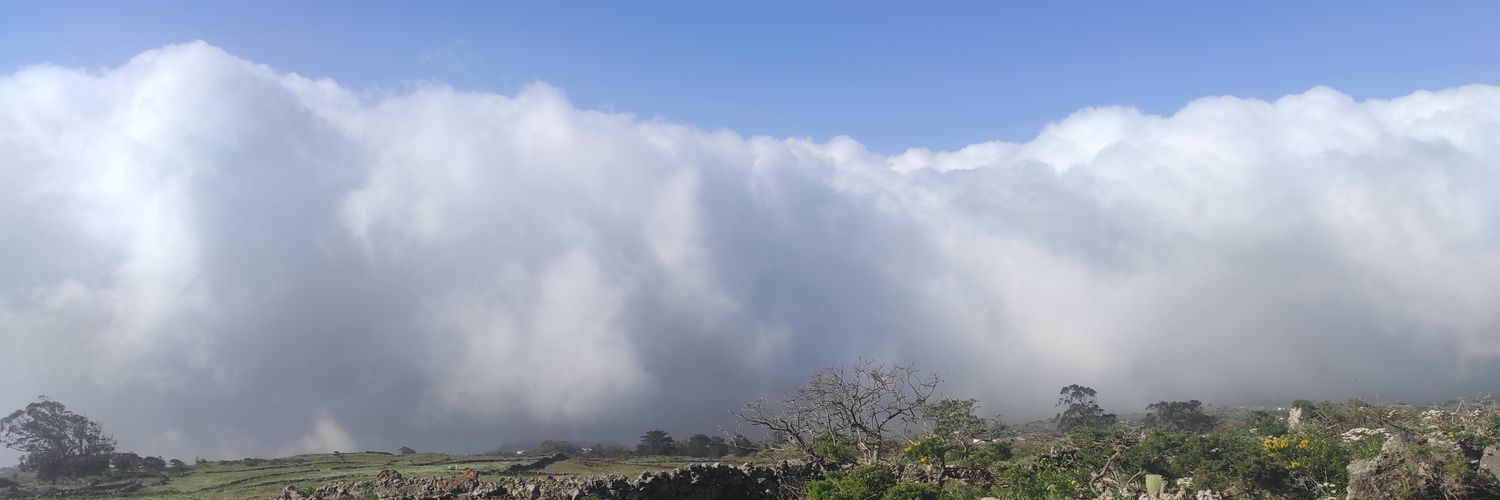 whoslyd's profile banner image