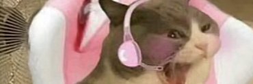 Bluushy | en transition vers Bluesky 🦋 banner