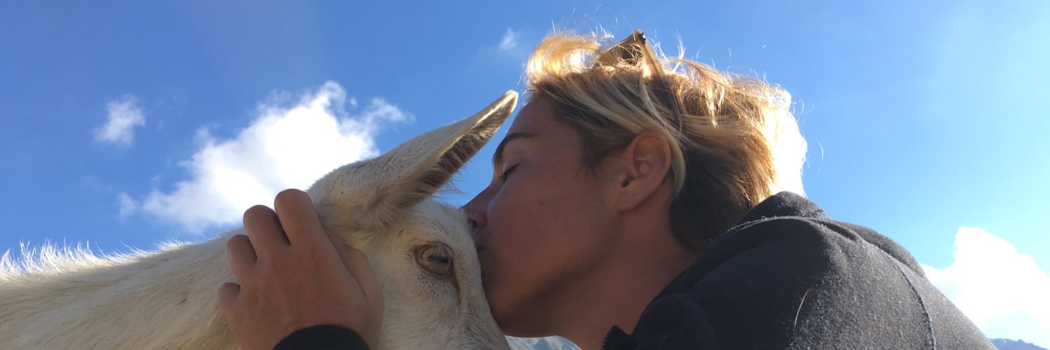 laramontagna's profile banner image
