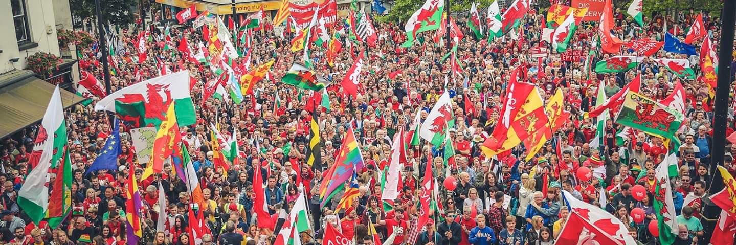 wildkippers's profile banner image