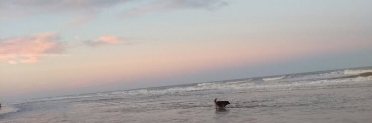 Laurilla del Mar banner