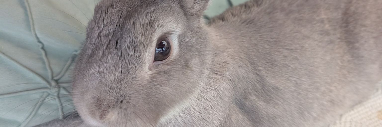 buffet6969's profile banner image