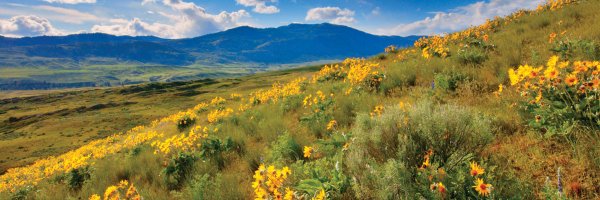 Okanogan Country Profile Banner