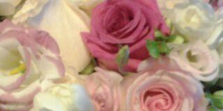 claudiamgm653's profile banner image
