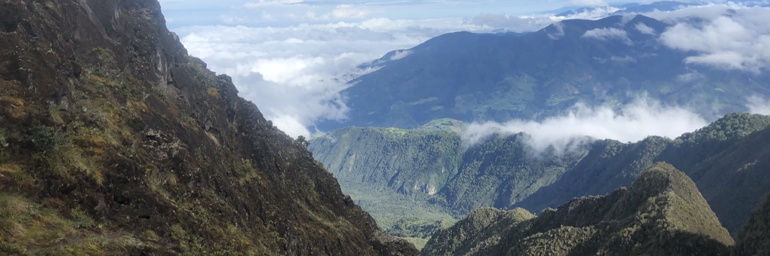 Daniel Brostella banner