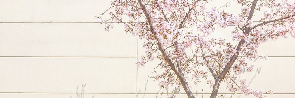 kn__fxx's profile banner image