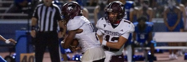 n0lifeispainted Profile Banner