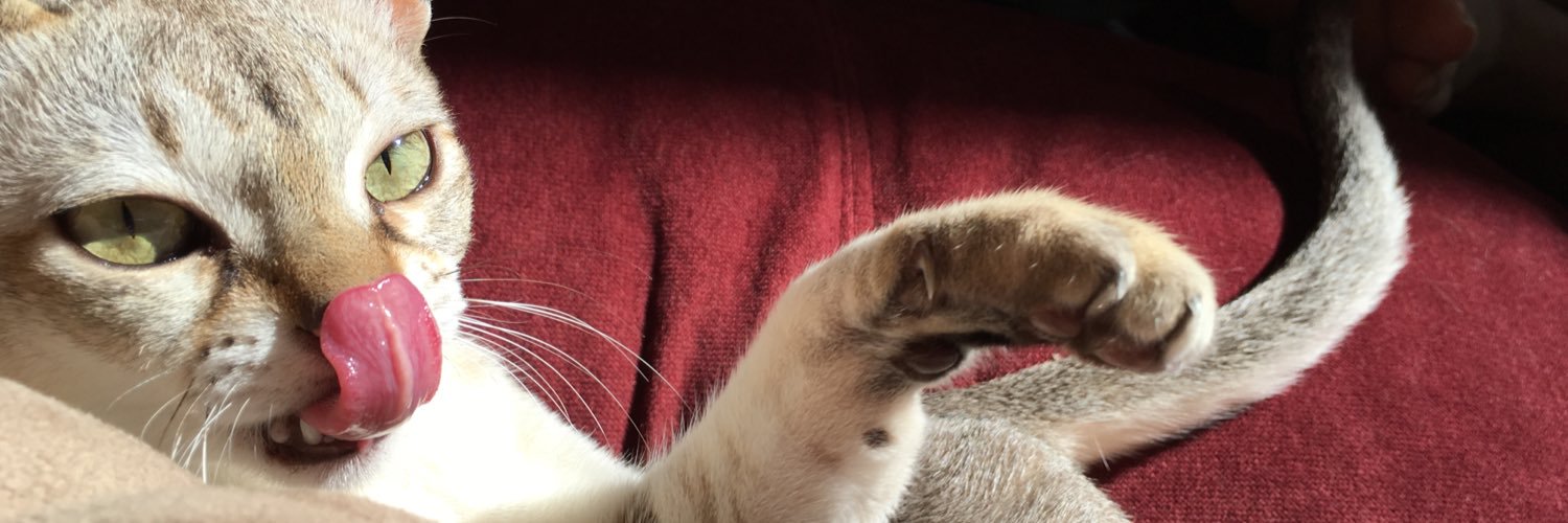 mikecrog's profile banner image