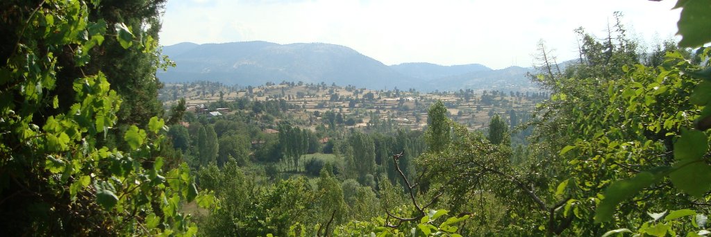 Ali Rıza Çoban banner