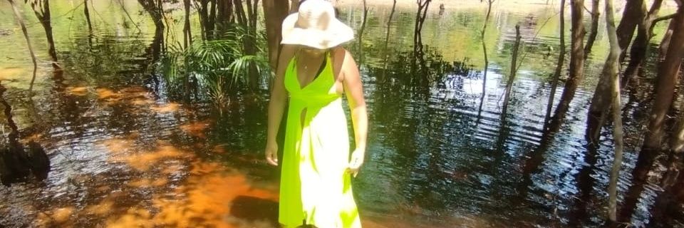 aurea marques banner