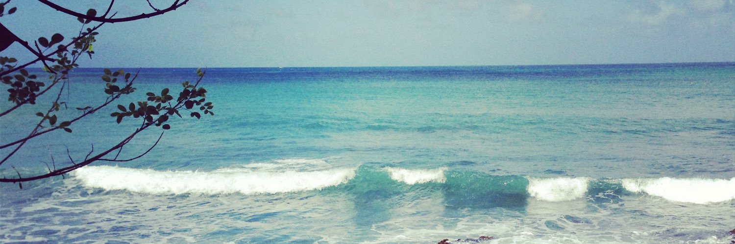 'Tos 🇺🇸 🇱🇨 🏝️ banner