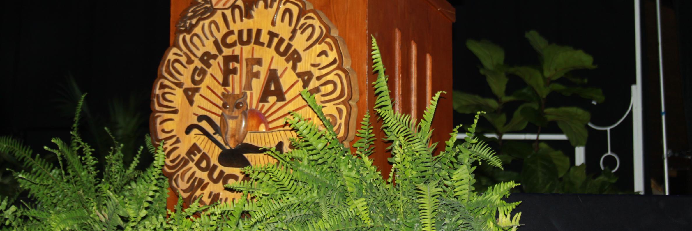 Blue Springs FFA banner