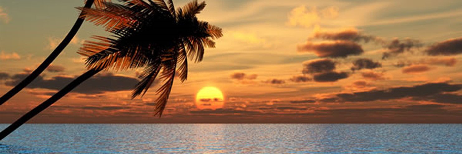 MadasonShaw's profile banner image