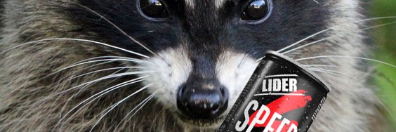 ElDani🧉 banner