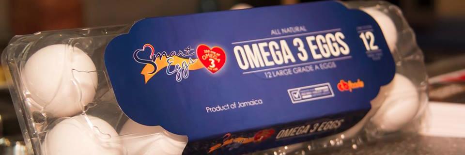smarteggsja's profile banner image