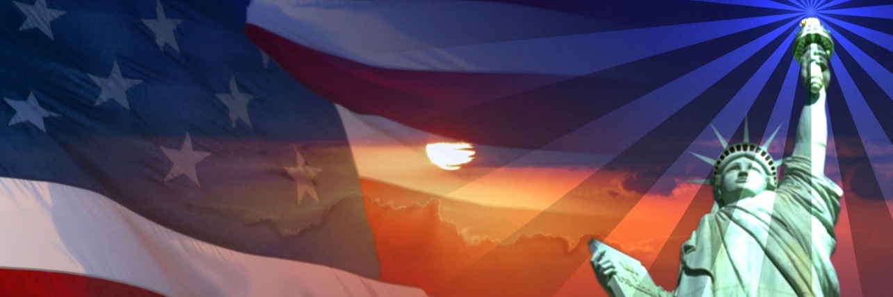 VettedPatriots's banner