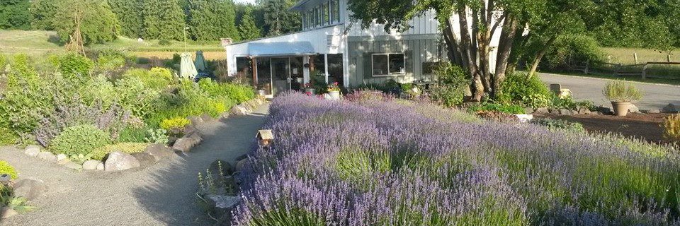 nourishsequim's profile banner image