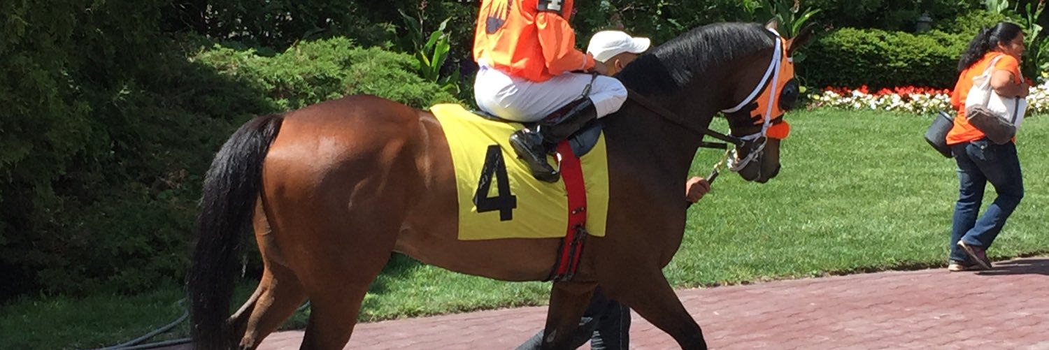 Lauren Woolcott banner