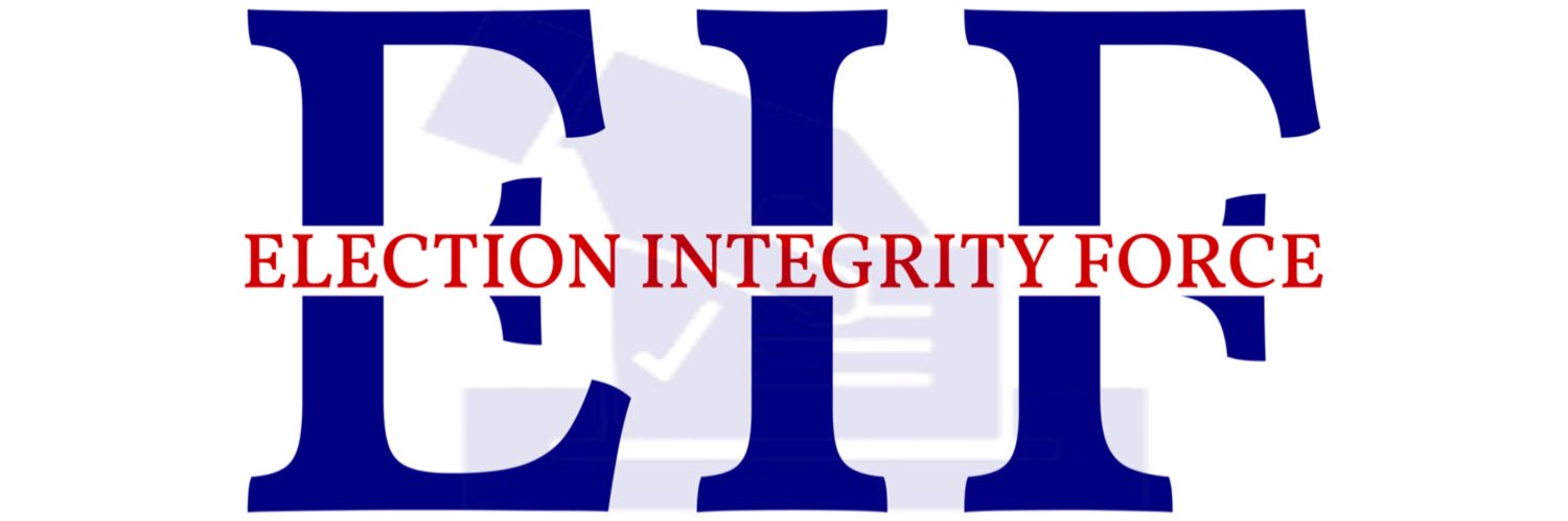 Election Integrity Force's banner