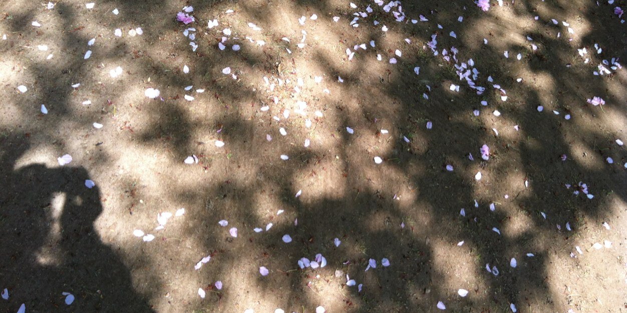 emo_tour's profile banner image