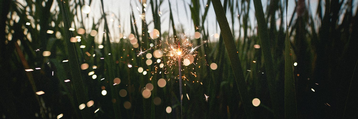ashleemacdouell's profile banner image