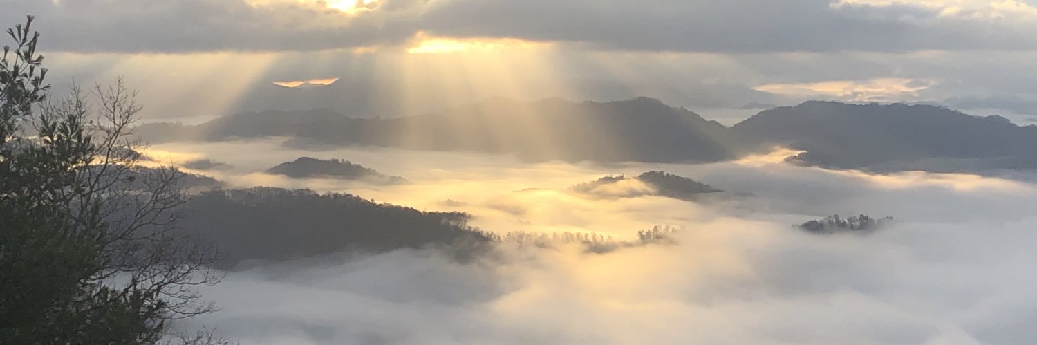 Shadow Banned banner