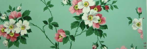 kbvlv's profile banner image
