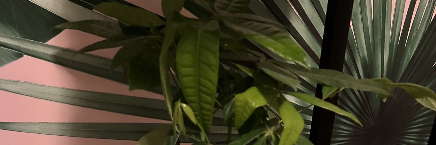 OTownPyle's profile banner image