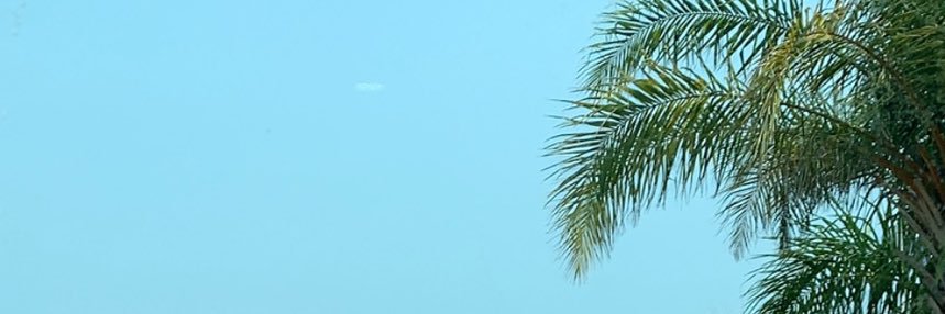 Jezzabell's profile banner image