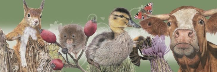 Lisa Wellwood Artist banner