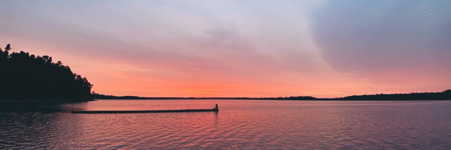 sdiver's profile banner image