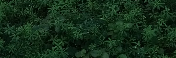 gdeyozhh Profile Banner