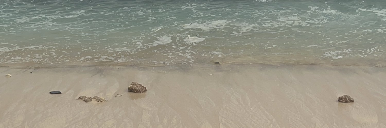 lou_prc's profile banner image