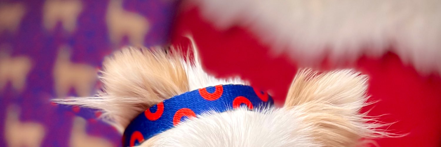 mledoubleyou's profile banner image