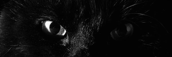 disclosetv Profile Banner