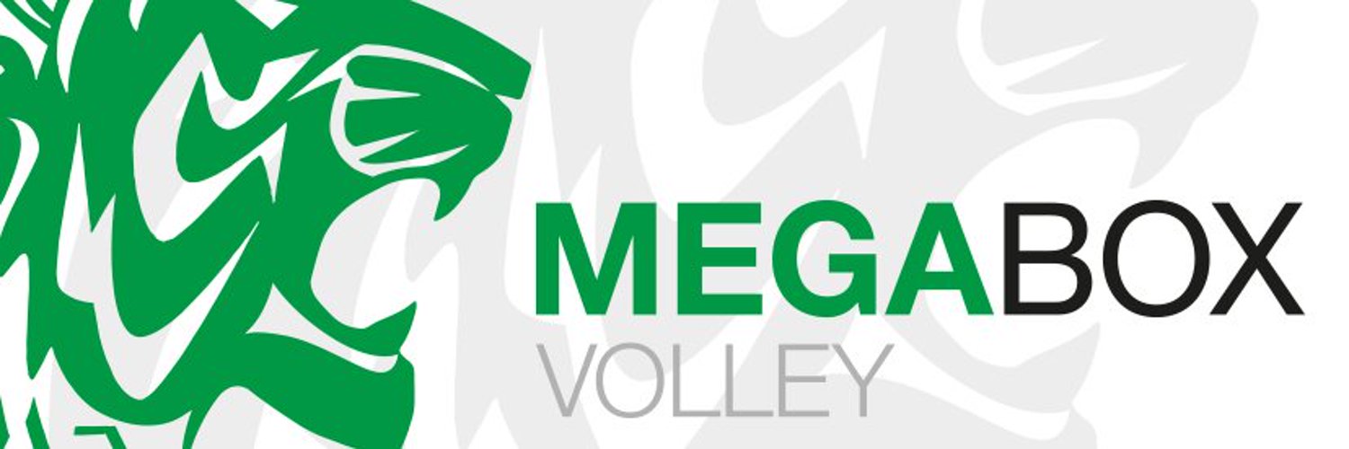 Megabox Volley Profile Banner