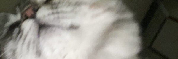 Rahaffe3 Profile Banner