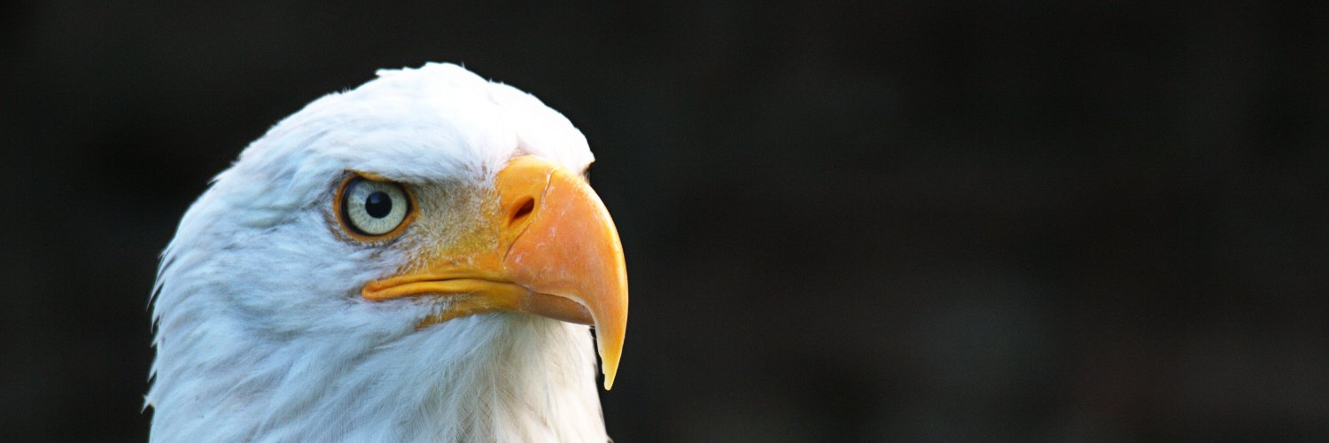 Shumoxy's profile banner image