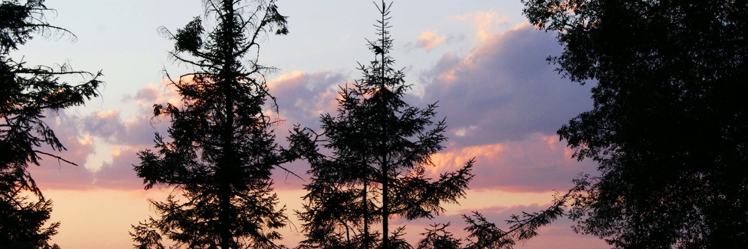 VozEnOffem's profile banner image