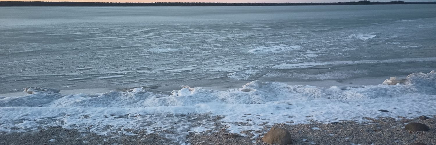 Derek Smith | Daft Sheep banner