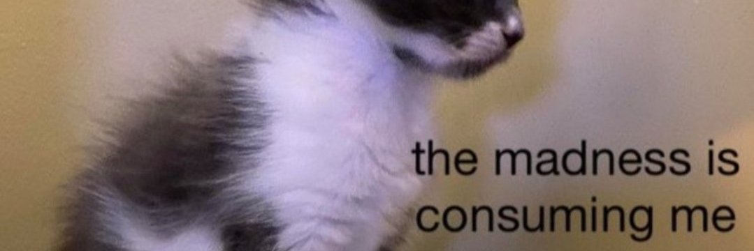julihygino's profile banner image