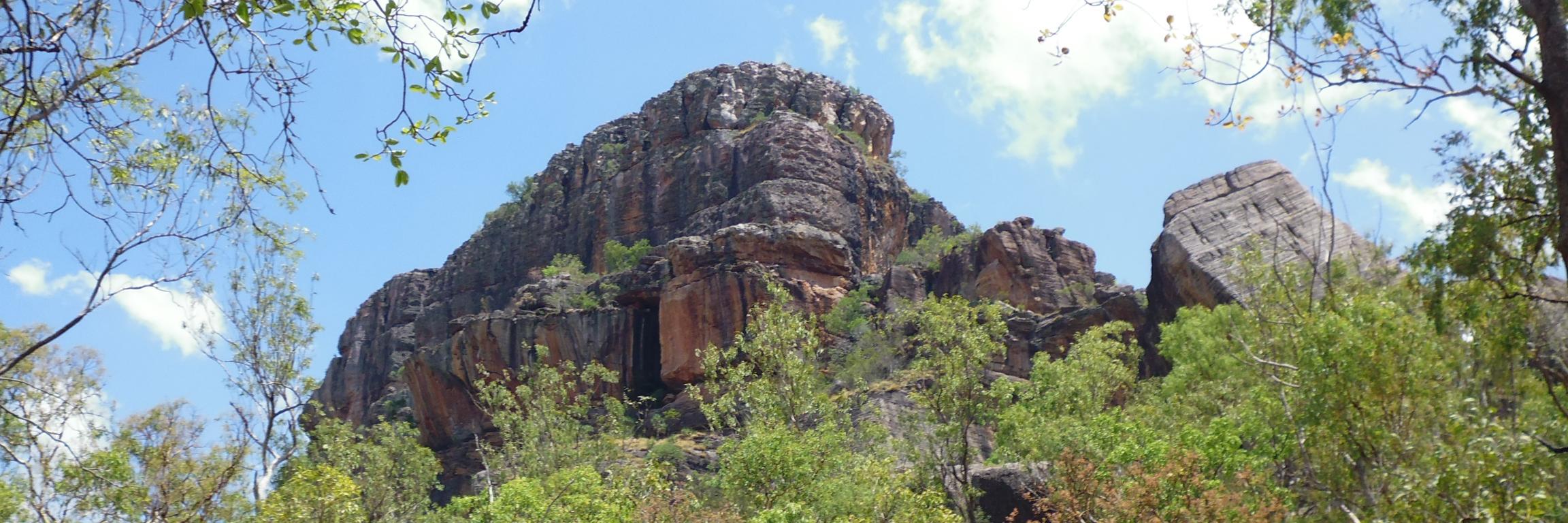 Marilynne NKirshbaum banner