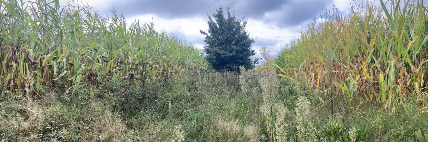 stephan luckow banner