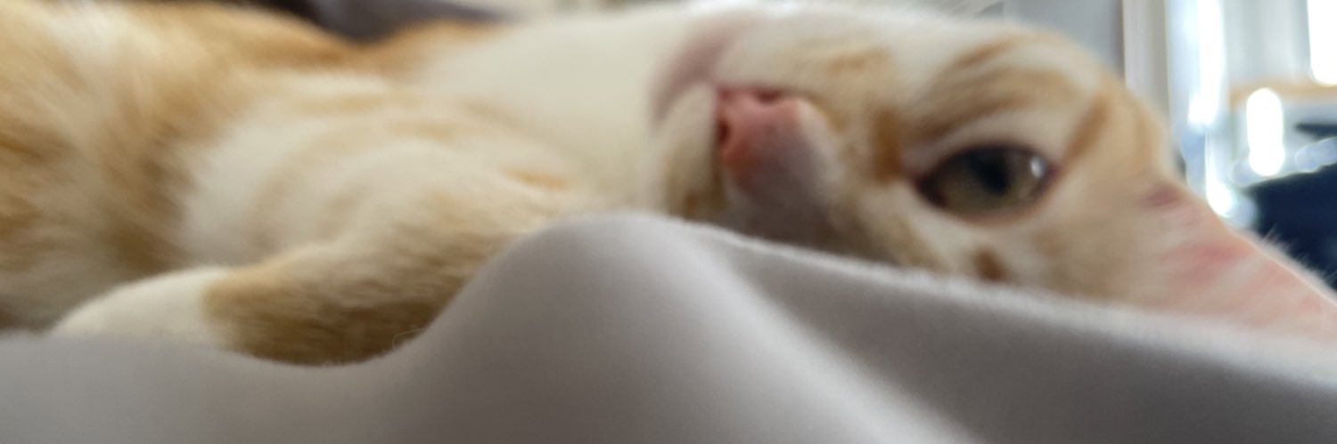 _mayrahood's profile banner image